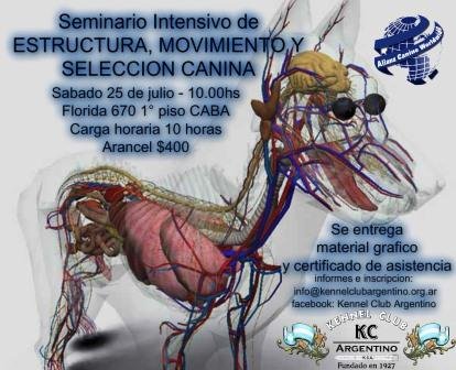Imagen destacada del artículo «Estructura y Movimiento»